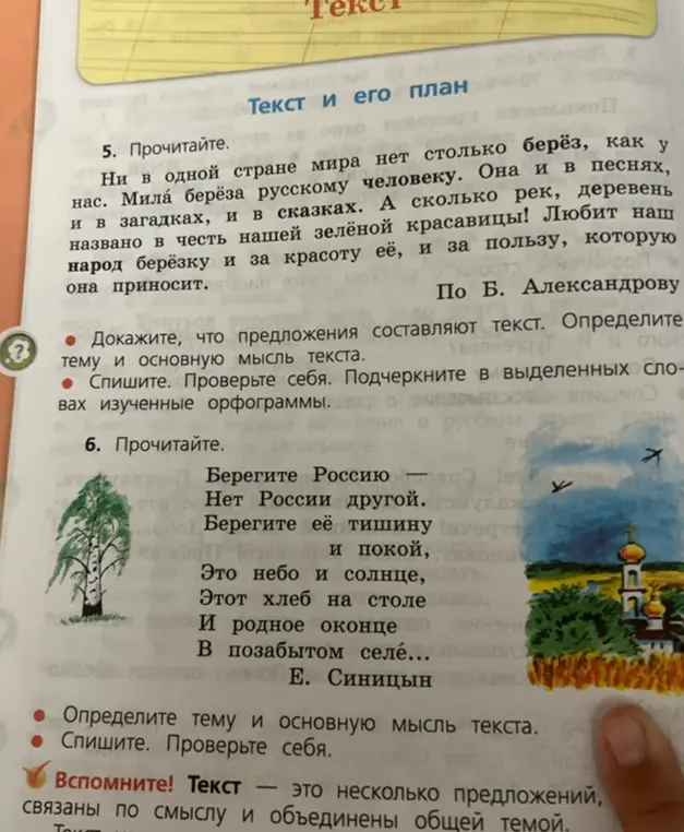 Определи тему и основную мысль текста про берёзу