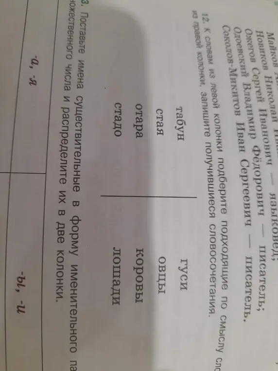 Ты просишь подобрать подходящие по смыслу слова и поставить имена существительные в форму именительного падежа множественного числа и распределить их в две колонки.