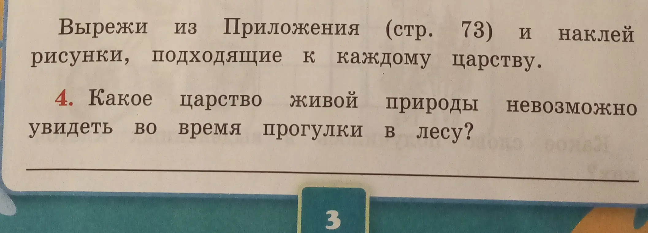 Какое царство живой природы невозможно увидеть во время прогулки в лесу?