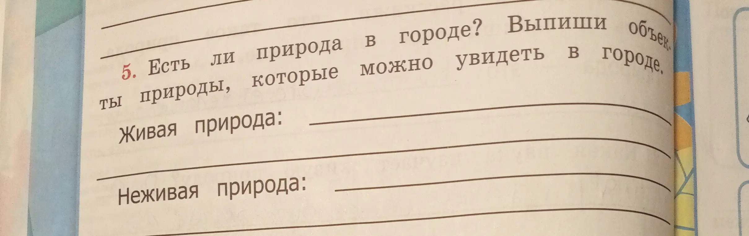 Перечисли, есть ли в городе объекты живой и неживой природы