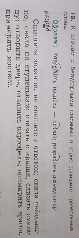Ты просишь подобрать проверочные слова к словам с безударными гласными в корне из упражнения 19
