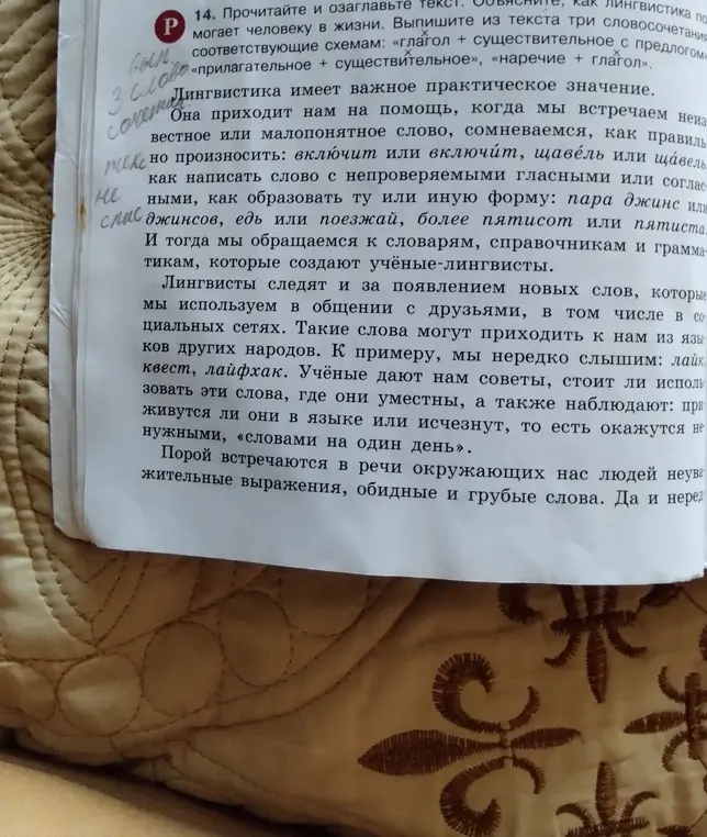 Выпиши из текста три словосочетания, соответствующие схемам: «глагол + существительное с предлогом»