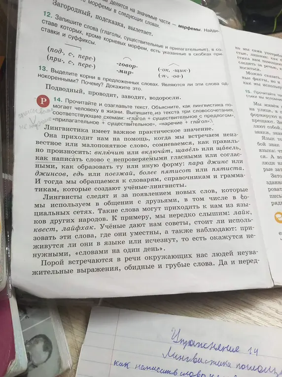 Объясни, как выделить корни в словах 'Подводный, проводит, заводит, водоросли', и озаглавь текст про лингвистику.