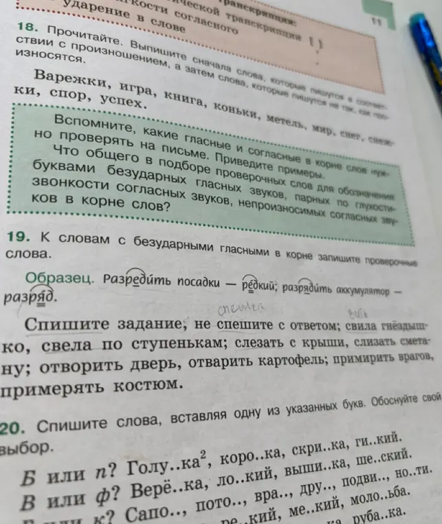 Ты просишь подобрать проверочные слова к словам с безударными гласными в корне в упражнении 19