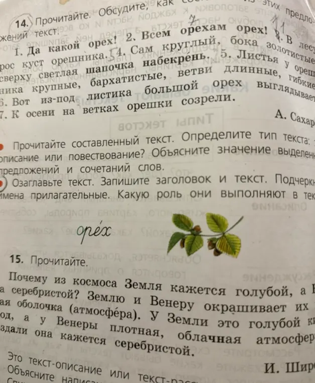 Прочитай текст про орех, озаглавь его, подчеркни имена прилагательные и объясни их роль в тексте. Прочитай текст про Землю и Венеру и определи тип текста.
