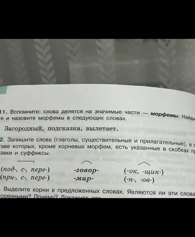 Найди и назови морфемы в словах: Загородный, подсказка, вылетает.