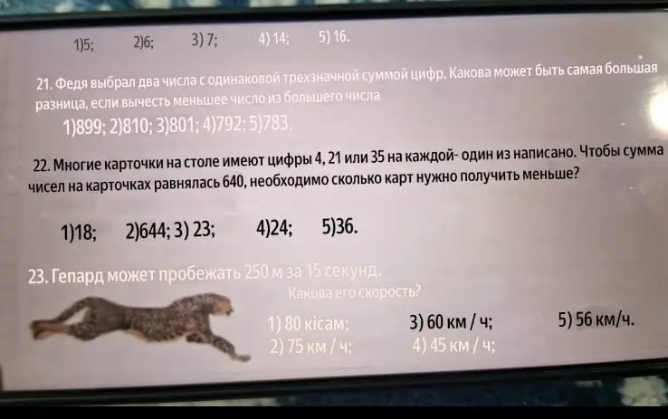 Реши задачи из изображения: про числа Феди, про карточки и про гепарда