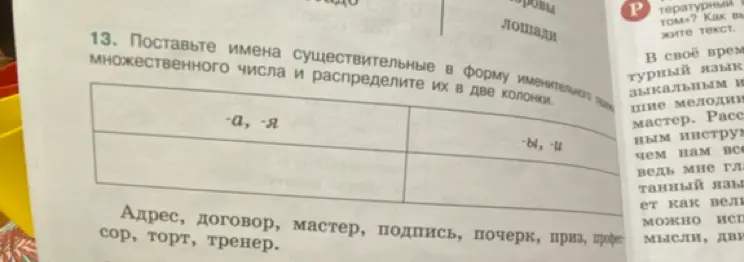 Можешь ли ты поставить имена существительные во множественном числе и распределить их в две колонки?