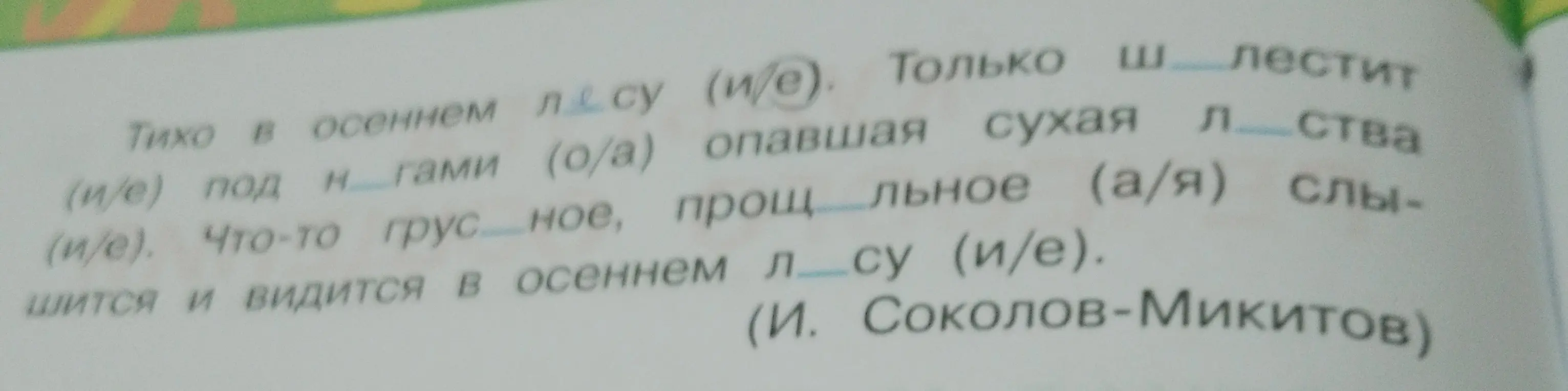 Вставь пропущенные буквы в тексте