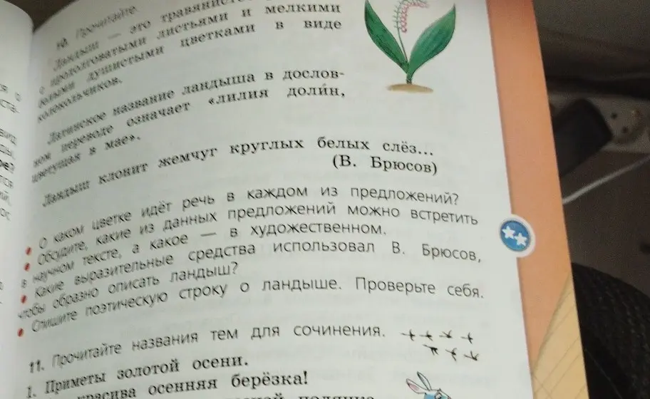 Определи, о каком цветке идёт речь в каждом из предложений?