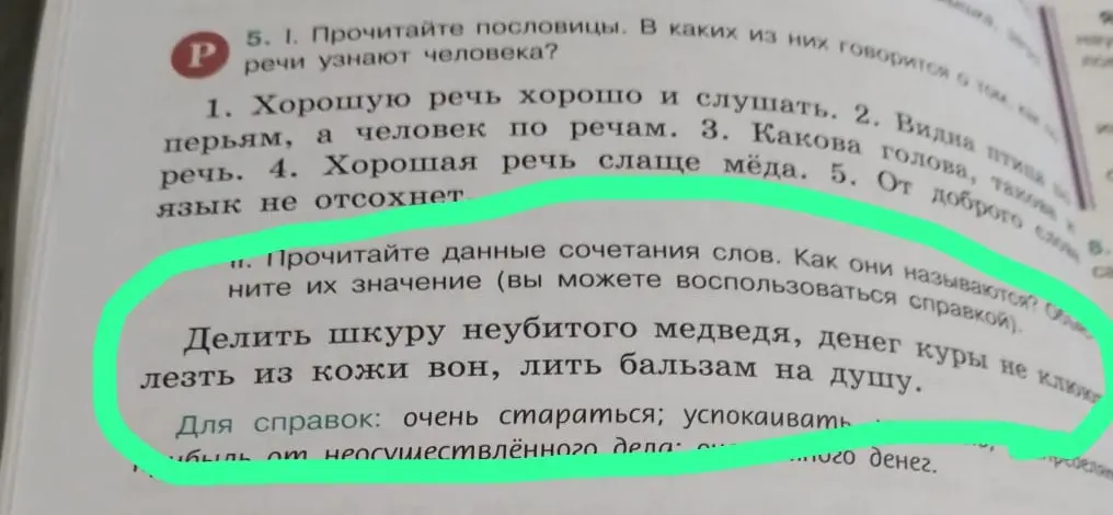 Объясни значение фразеологизмов: делить шкуру неубитого медведя, денег куры не клюют, лезть из кожи вон, лить бальзам на душу