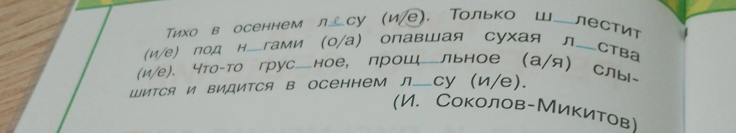 Помоги вставить буквы в слова в тексте.