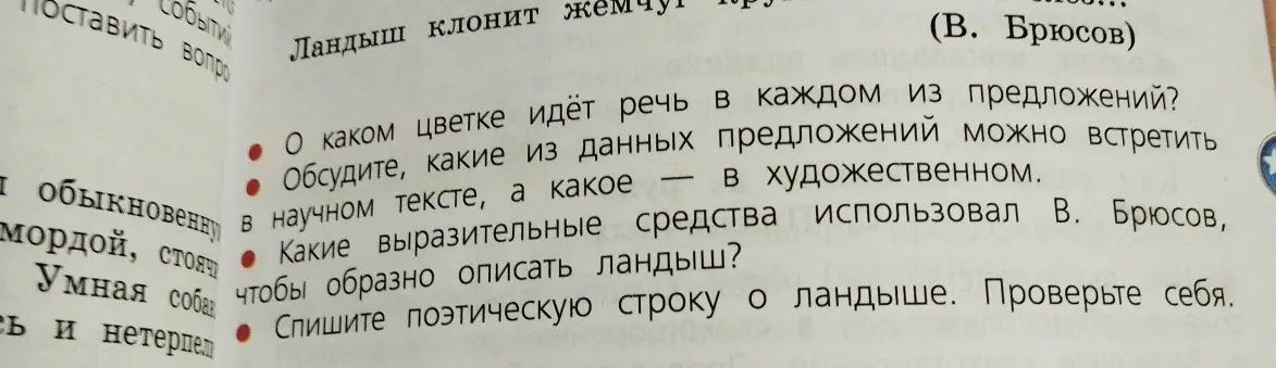 Определи, о каком цветке идёт речь в каждом из предложений