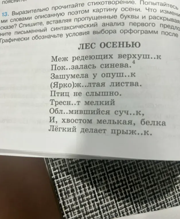 Выполни, пожалуйста, упражнение: спиши стихотворение, вставляя пропущенные буквы и раскрывая скобки.