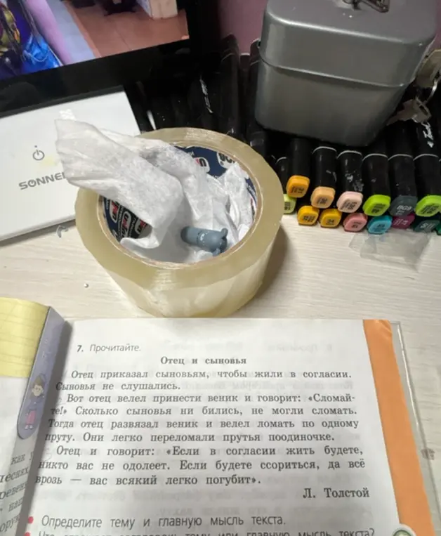 Определи тему и главную мысль текста.