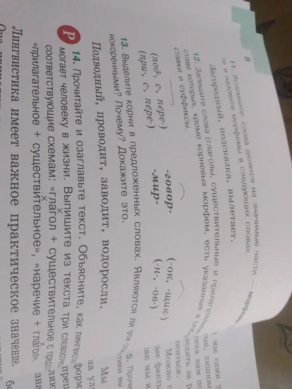 Можешь ли ты помочь с заданиями по русскому языку: 11, 12, 13, 14?