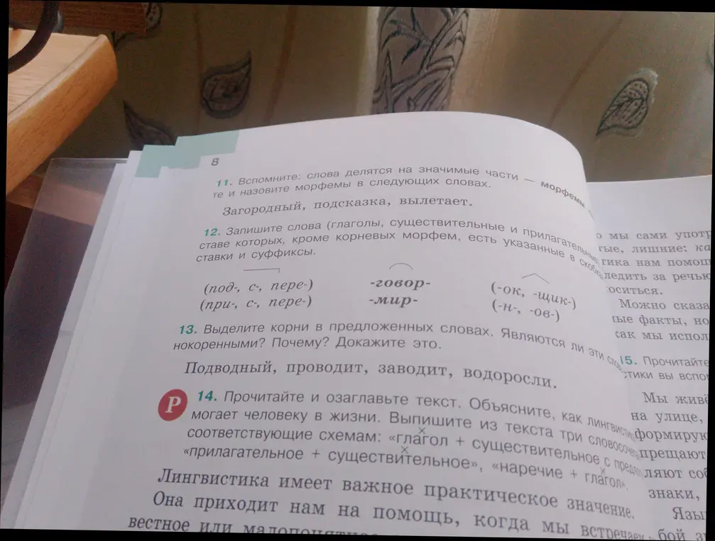 Ты просишь назвать морфемы в словах: загородный, подсказка, вылетает; записать слова с приставками, корнями, суффиксами; выделить корни в словах подводный, проводит, заводит, водоросли; озаглавить текст и выписать словосочетания.