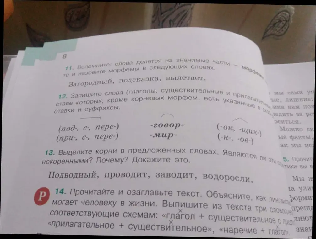 Определи корни в словах 'подводный, проводит, заводит, водоросли'. Являются ли эти слова однокоренными?