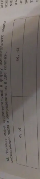 Мне нужно поставить имена существительные в форму именительного падежа множественного числа и распределить их в две колонки, где в первой колонке слова с окончанием -а, -я, а во второй -ы, -и