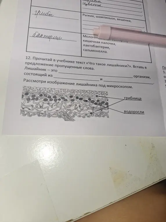 Вставь в предложение пропущенные слова: Лишайник - это ... организм, состоящий из ... и ...
