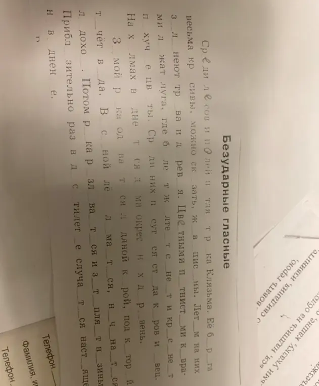 Вставь пропущенные буквы в словах текста.