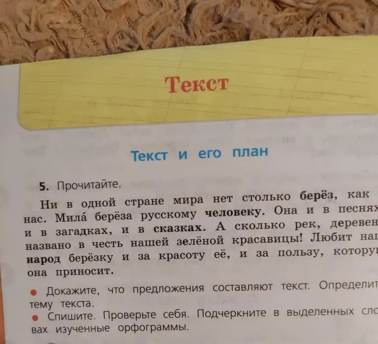 Объясни, что предложения в тексте связаны, определи тему текста и подчеркни орфограммы в выделенных словах.