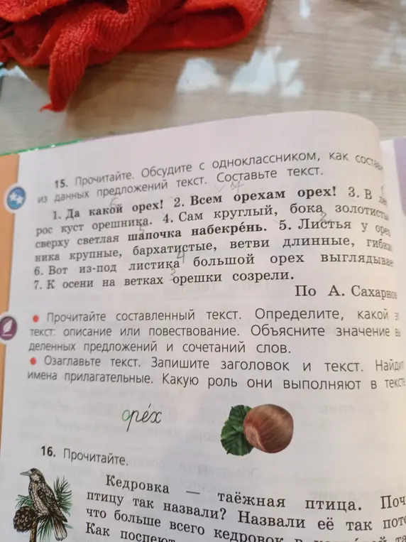 Составь текст из данных предложений про орех, определи тип текста и роль прилагательных