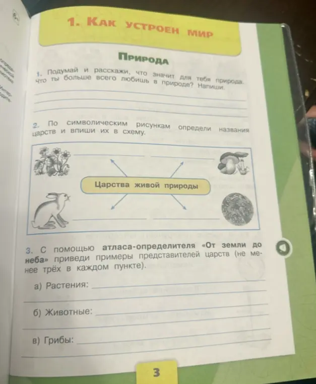 Помоги определить названия царств по символическим рисункам и вписать их в схему. Приведи примеры представителей царств.
