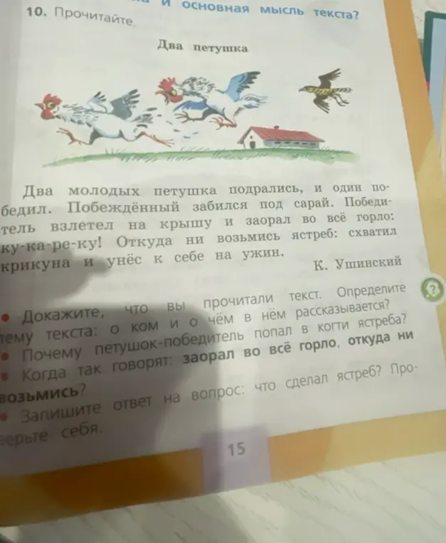 Ответь на вопросы по рассказу "Два петушка".