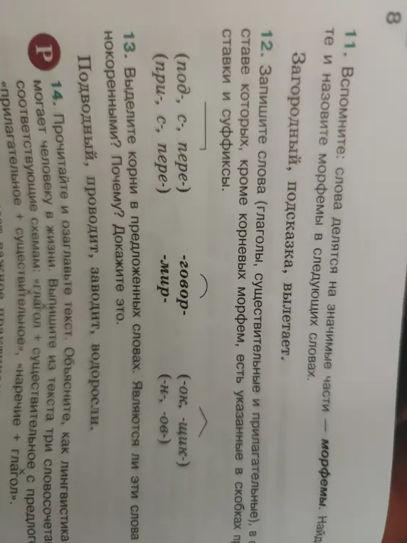 Выдели корни в словах 'Подводный, проводит, заводит, водоросли'. Являются ли эти слова однокоренными?