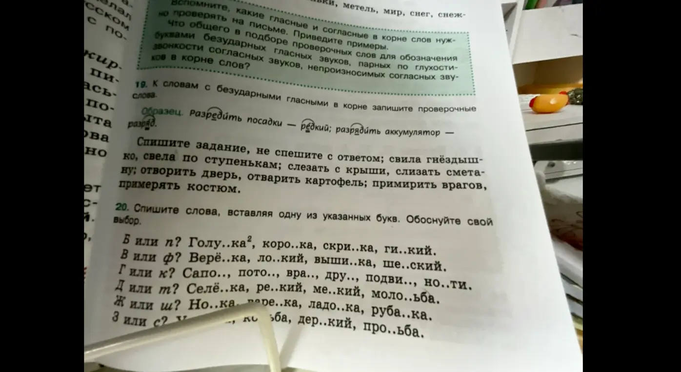 В задании 20 нужно вставить одну из указанных букв и обосновать свой выбор.