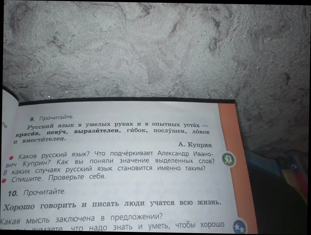 Как ты понял значение выделенных слов в тексте про русский язык?