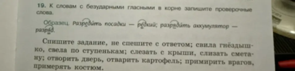 Подбери проверочные слова к словам с безударными гласными в корне: свила гнёздышко.