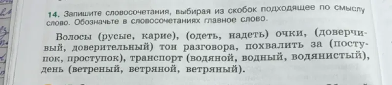 Выбери из скобок подходящее по смыслу слово и запиши словосочетания, обозначая в них главное слово