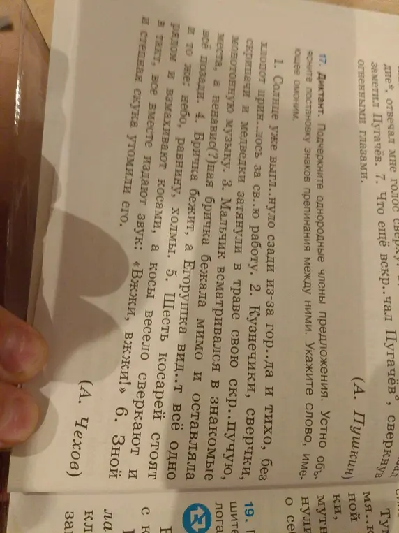 Выполни задание, в котором требуется подчеркнуть однородные члены предложения, устно объяснить постановку знаков препинания между ними и указать слово, имеющее омоним