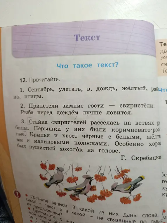Сравни записи: что является текстом, а что предложением?