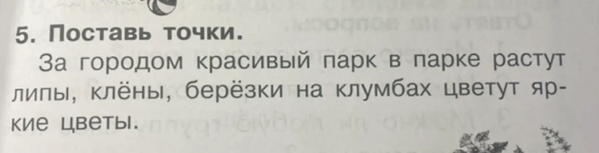 Ты можешь поставить точки в тексте "За городом красивый парк в парке растут липы, клёны, берёзки на клумбах цветут яркие цветы"?