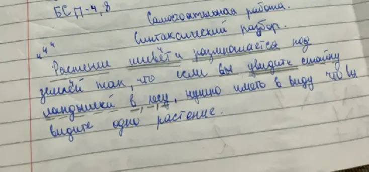 Выполни синтаксический разбор предложения: 'Растение живёт и размножается под землёй так, что если вы увидите стайку ландышей в лесу, нужно иметь в виду, что вы видите одно растение'