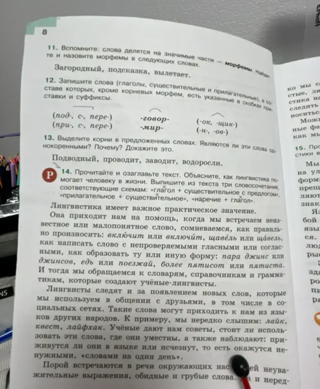 Выполни упражнения 11-14 по русскому языку