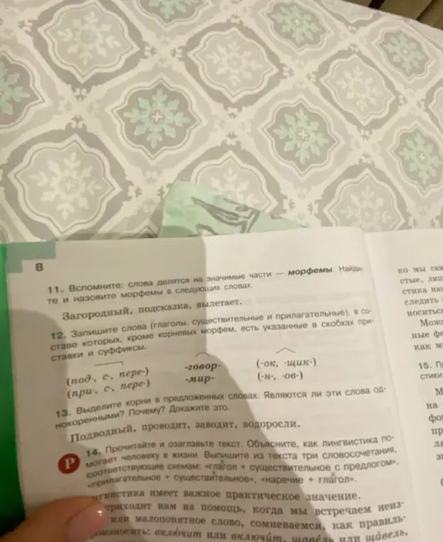Выполни задания: 1. назови морфемы в словах загородный, подсказка, вылетает; 2. запиши слова с приставками и суффиксами; 3. выдели корни в словах подводный, проводит, заводит, водоросли; 4. прочитай и озаглавь текст.
