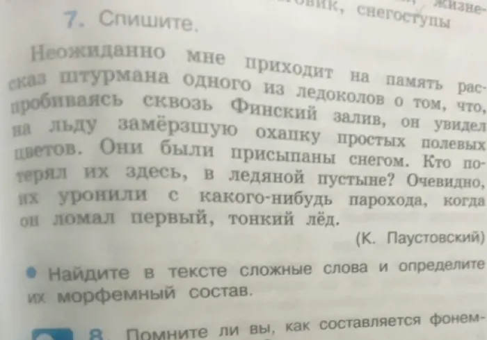Найди в тексте сложные слова и определи их морфемный состав.