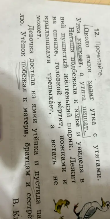Прочитай текст