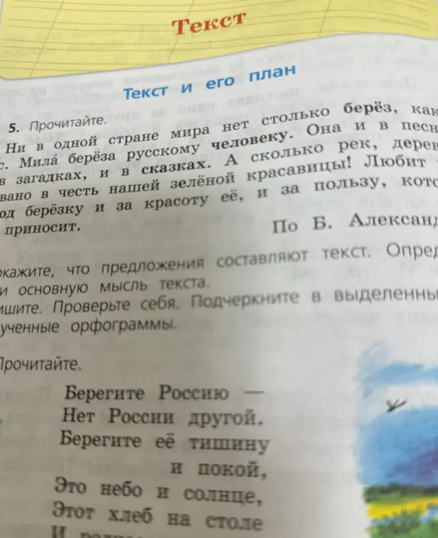 Прочитай текст о берёзе.