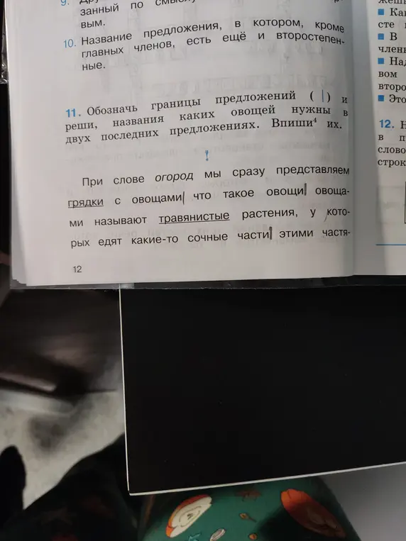 Ты просишь обозначить границы предложений и вписать названия овощей в двух последних предложениях.