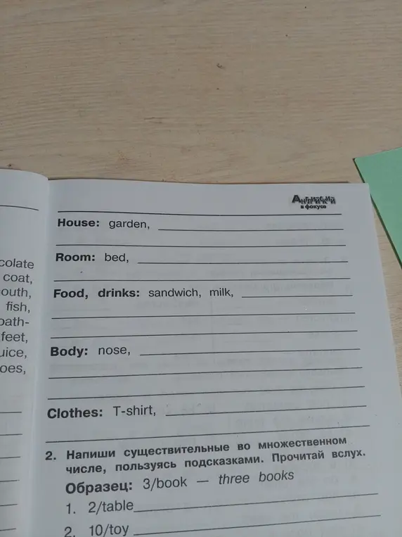 Помоги написать слова в нужной строчке и перевести, написать существительные во множественном числе.