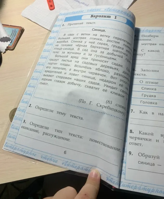 Определи тему текста про синицу