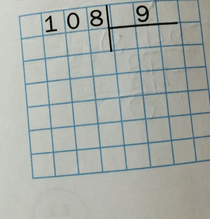 Можешь ли ты разделить 108 на 9 столбиком?