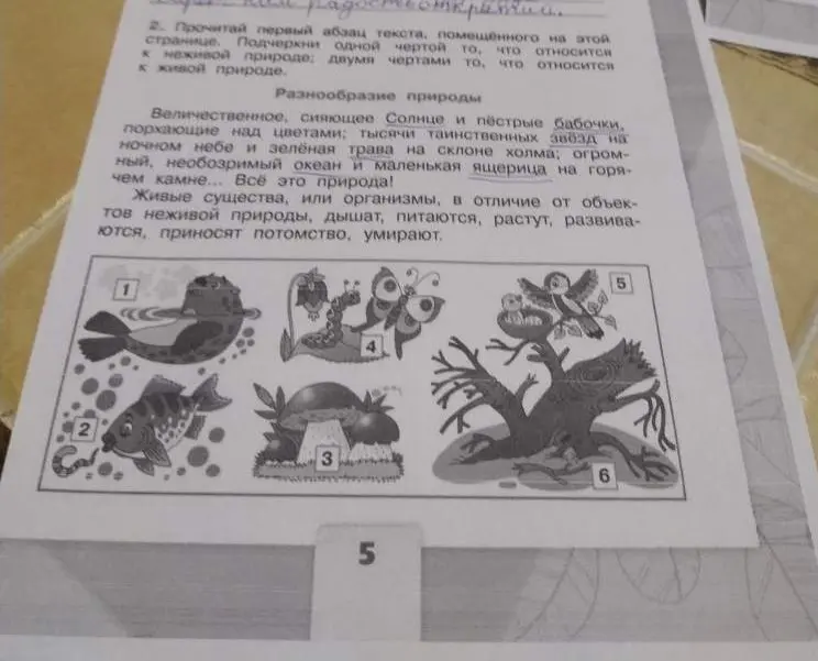 Прочитай первый абзац текста, помещённого на этой странице и подчеркни одной чертой то, что относится к неживой природе.