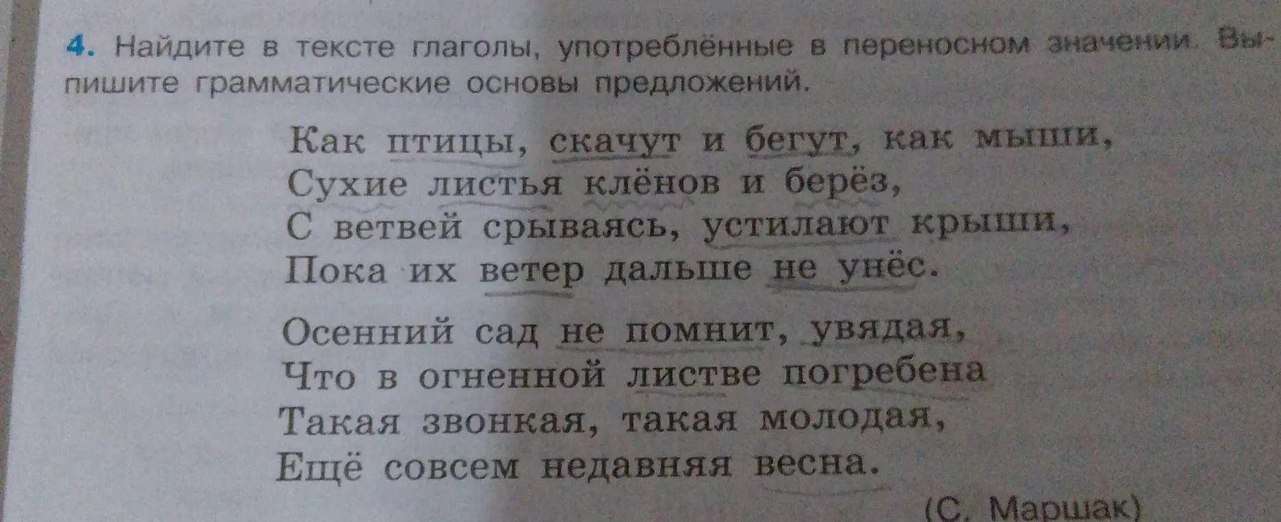 Найди в тексте глаголы, употреблённые в переносном значении и выпиши грамматические основы предложений