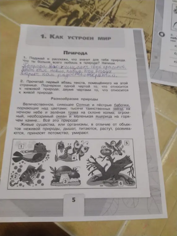 Прочитай первый абзац текста, помещённого на этой странице. Подчеркни одной чертой то, что относится к неживой природе; двумя чертами то, что относится к живой природе.